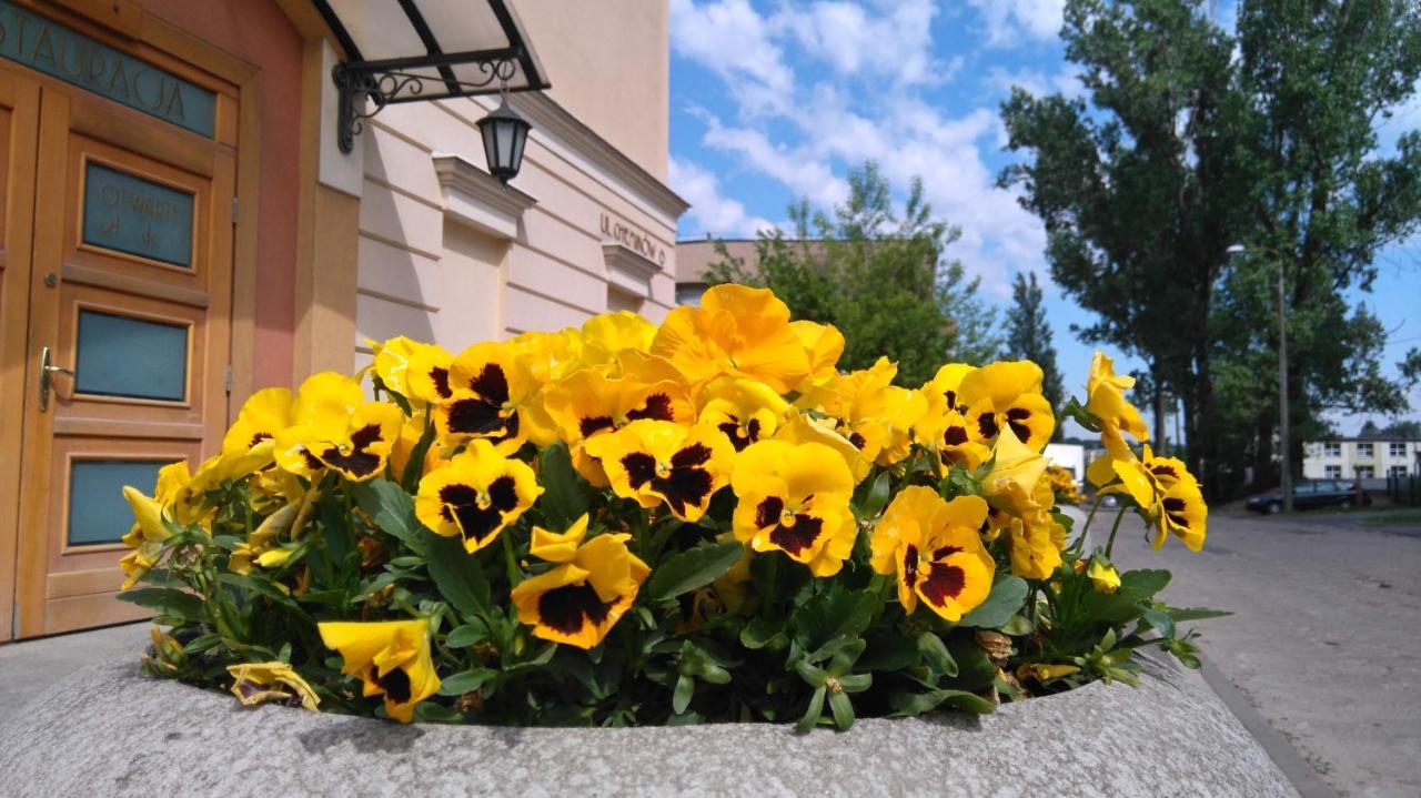 Hotel San Remo ズギェシ エクステリア 写真